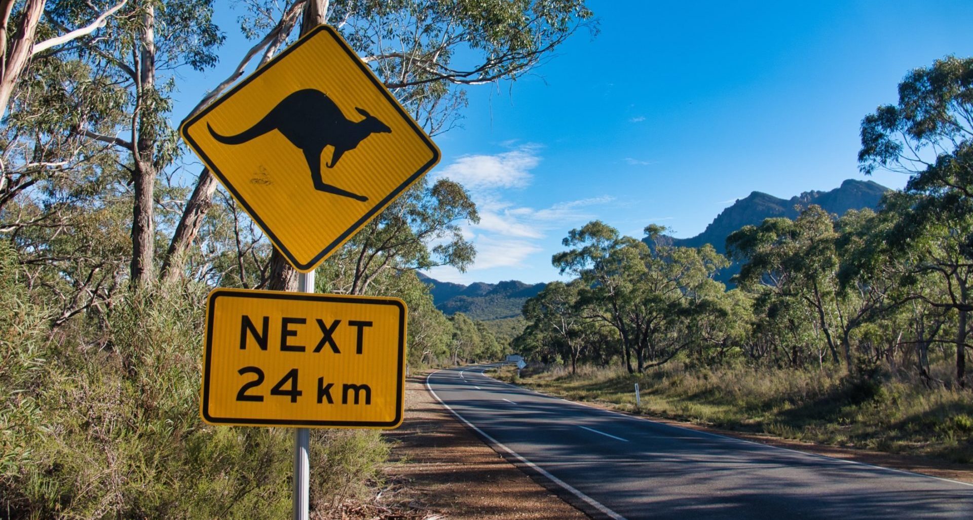 Kangaroo Sign T20 WlLBYL Kangaroo Sign T20 WlLBYL